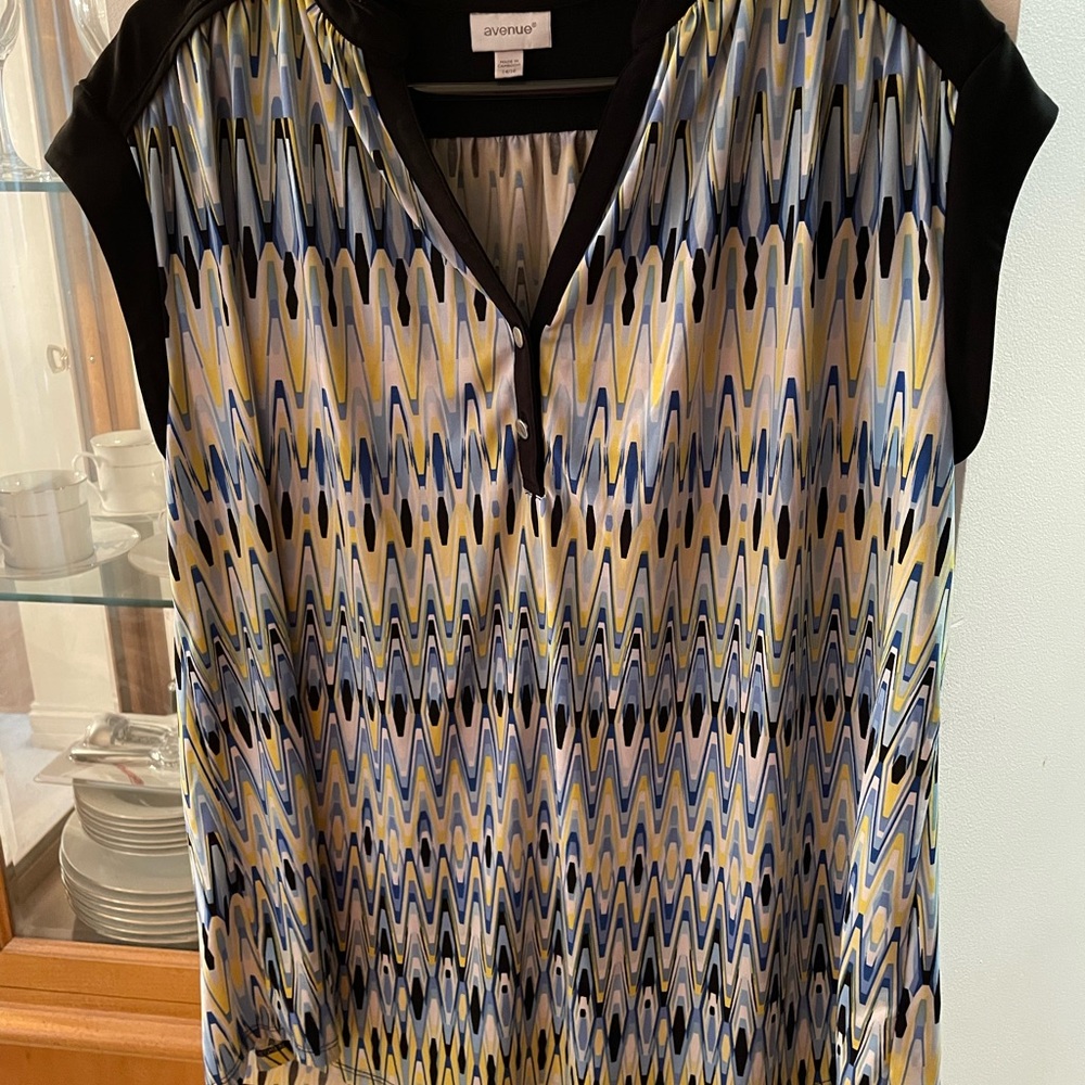 This beautiful artistry blouse